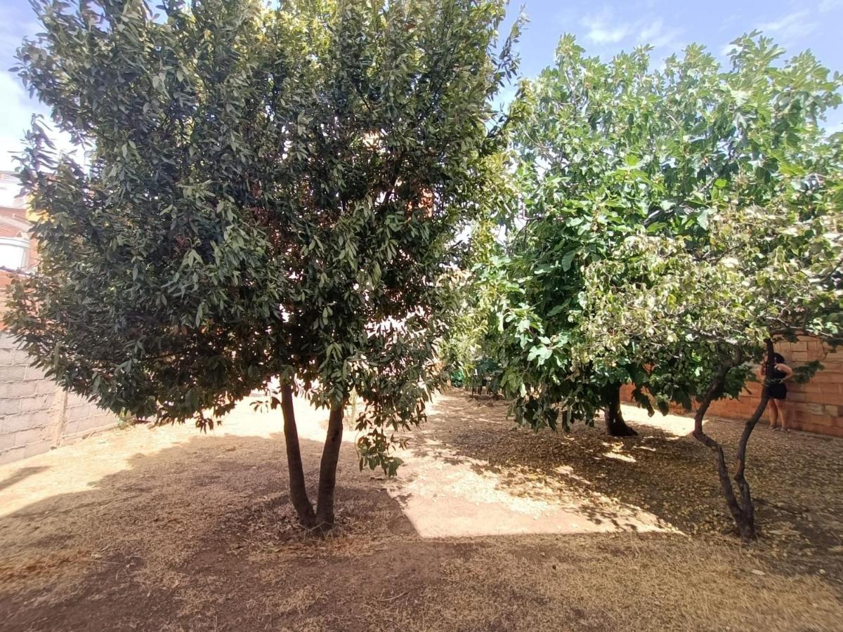 Castellar de Santisteban Vivienda Rural Los Iberos M&M, מראה חיצוני תמונה